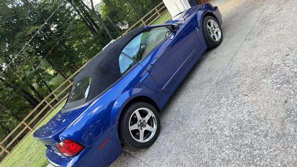 2003 Ford SN95 Mustang Cobra - Image 4 of 9