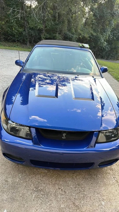 2003 Ford SN95 Mustang Cobra - Image 5 of 9