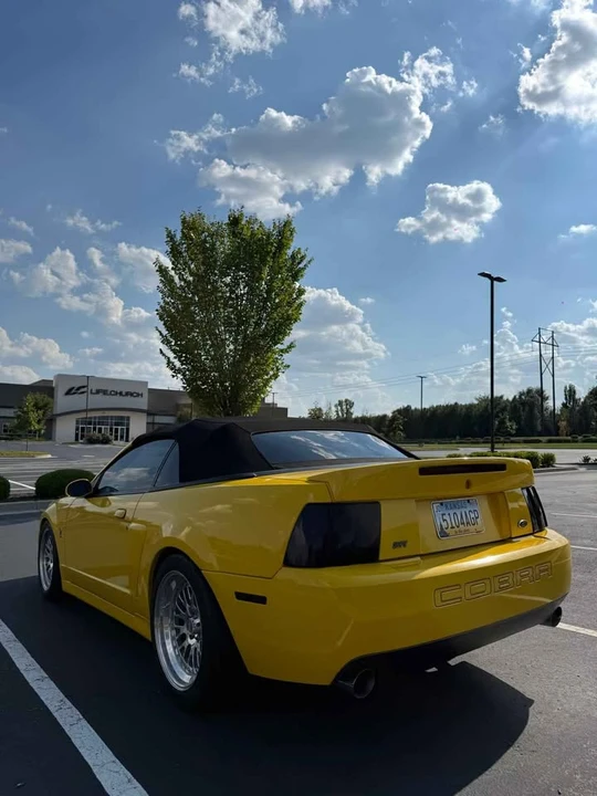 2003 Ford SN95 Mustang Cobra - Image 15 of 20