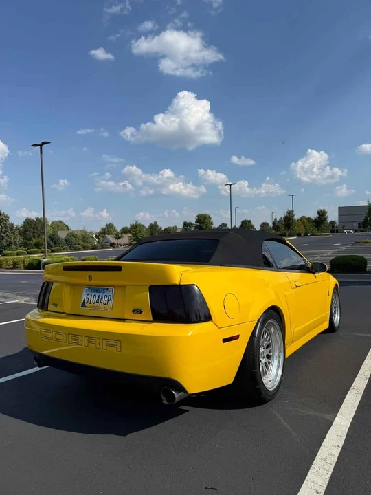 2003 Ford SN95 Mustang Cobra - Image 16 of 20