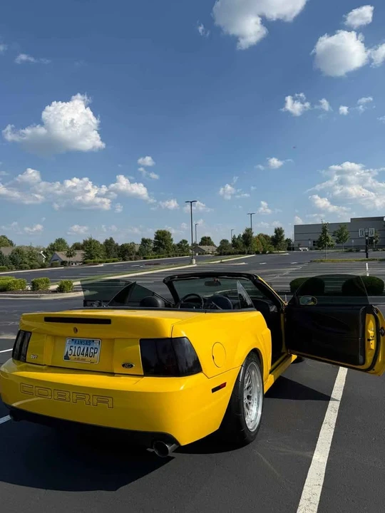 2003 Ford SN95 Mustang Cobra - Image 7 of 20