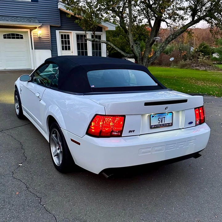 2003 Ford SN95 Mustang Cobra - Image 8 of 20