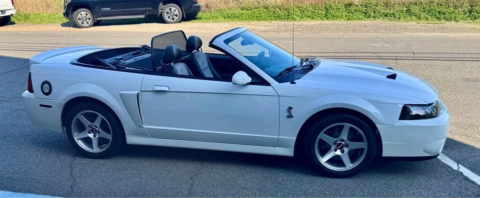 2003 Ford SN95 Mustang Cobra - Image 7 of 20