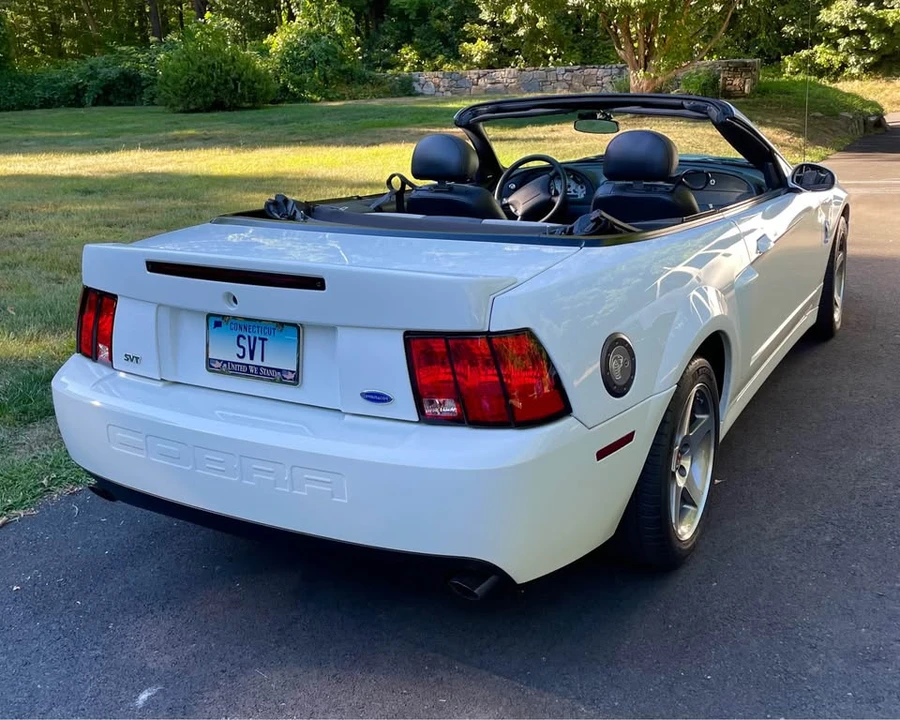 2003 Ford SN95 Mustang Cobra - Image 4 of 20