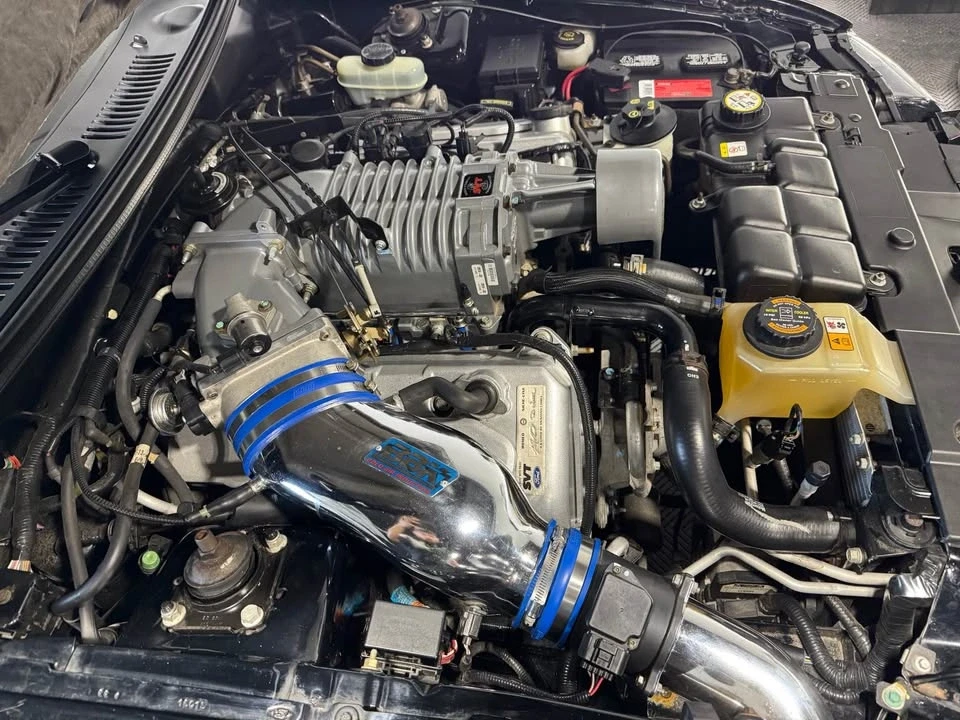 2003 Ford SN95 Mustang Cobra - Image 15 of 17