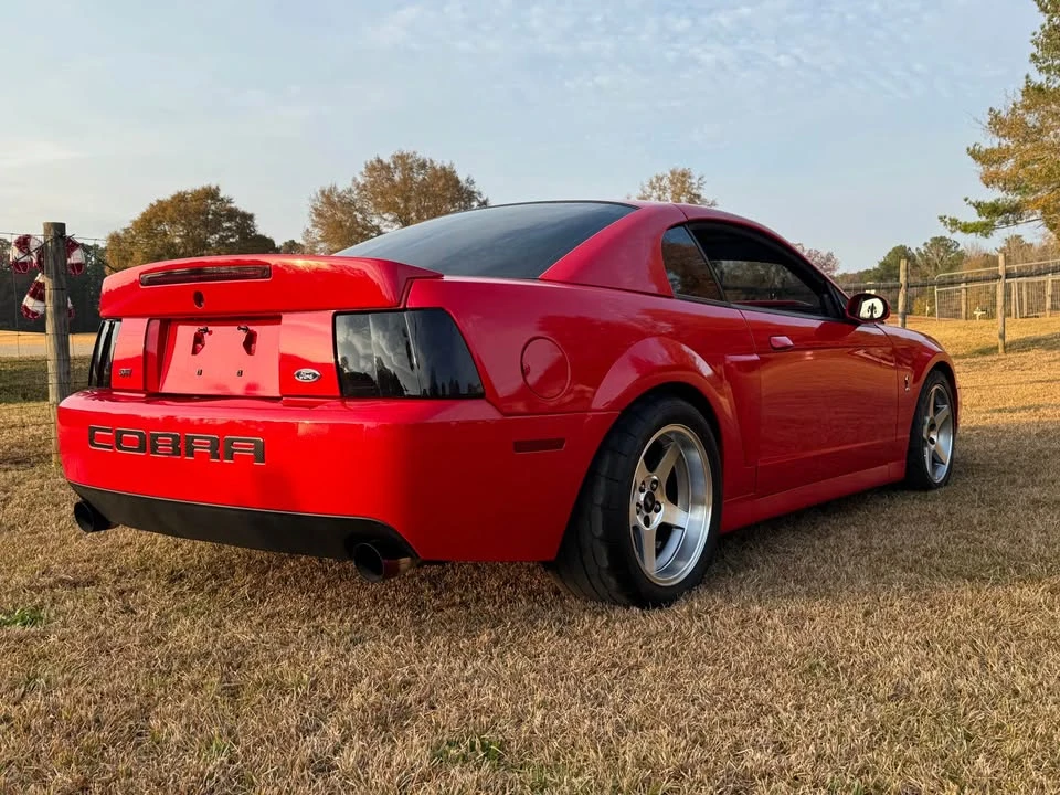 2003 Ford SN95 Mustang Cobra - Image 8 of 18