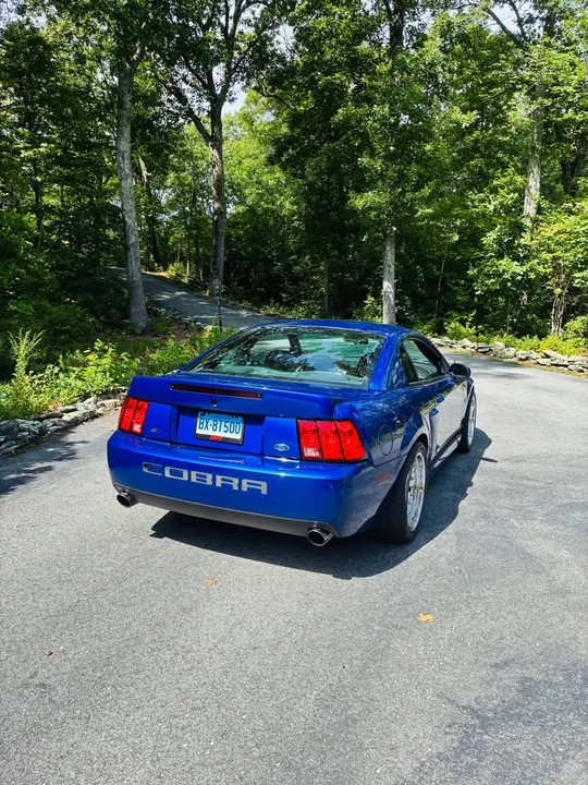 2003 Ford SN95 Mustang Cobra - Image 5 of 15