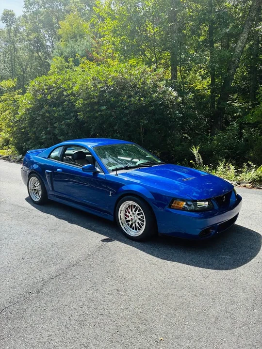2003 Ford SN95 Mustang Cobra - Image 3 of 15