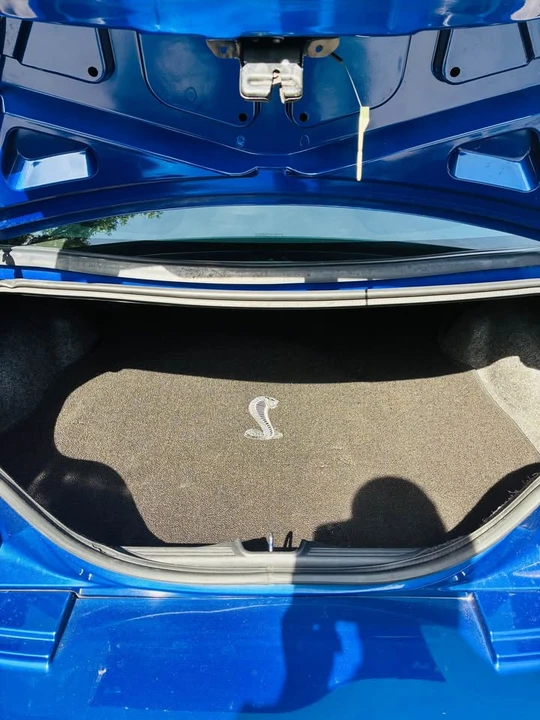 2003 Ford SN95 Mustang Cobra - Image 14 of 15