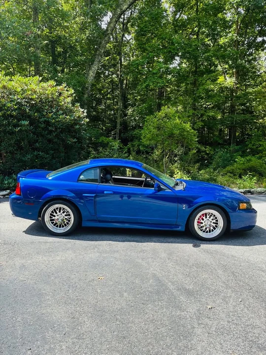 2003 Ford SN95 Mustang Cobra - Image 4 of 15