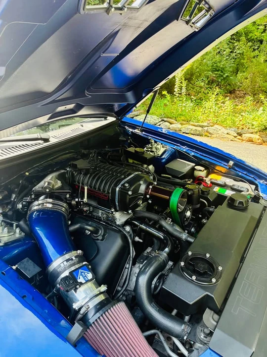 2003 Ford SN95 Mustang Cobra - Image 9 of 15