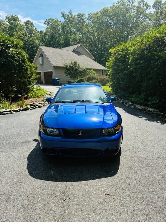 2003 Ford SN95 Mustang Cobra - Image 2 of 15