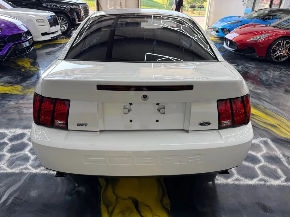 2003 Ford SN95 Mustang Cobra - Image 6 of 20