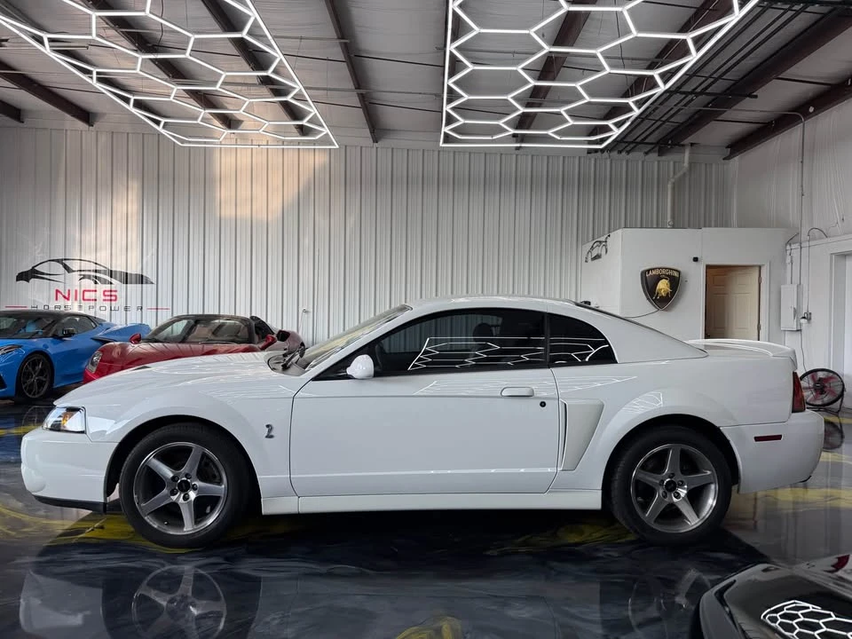 2003 Ford SN95 Mustang Cobra - Image 4 of 20