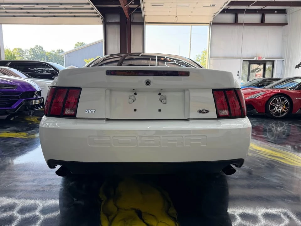 2003 Ford SN95 Mustang Cobra - Image 5 of 20