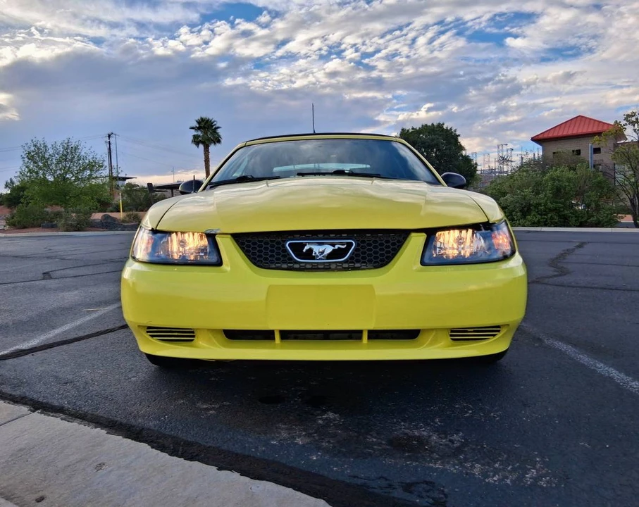 2003 Ford SN95 Mustang - Image 11 of 24