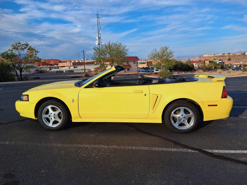 2003 Ford SN95 Mustang - Image 3 of 24