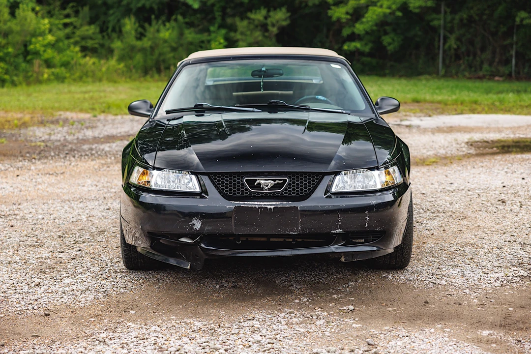 2003 Ford SN95 Mustang - Image 8 of 31