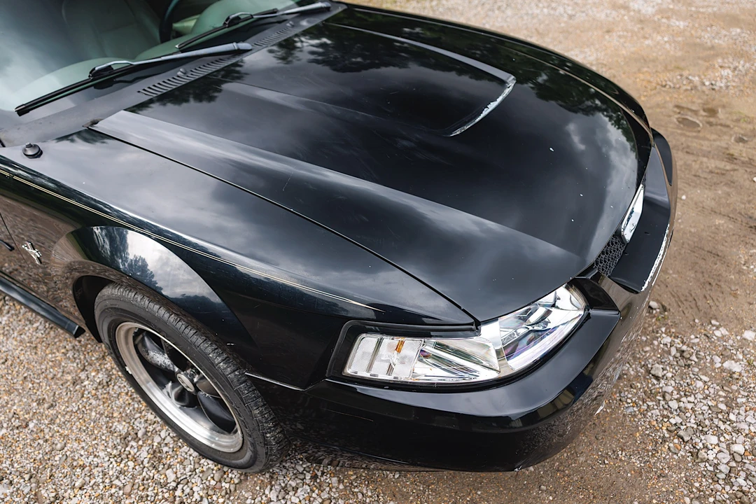 2003 Ford SN95 Mustang - Image 25 of 31