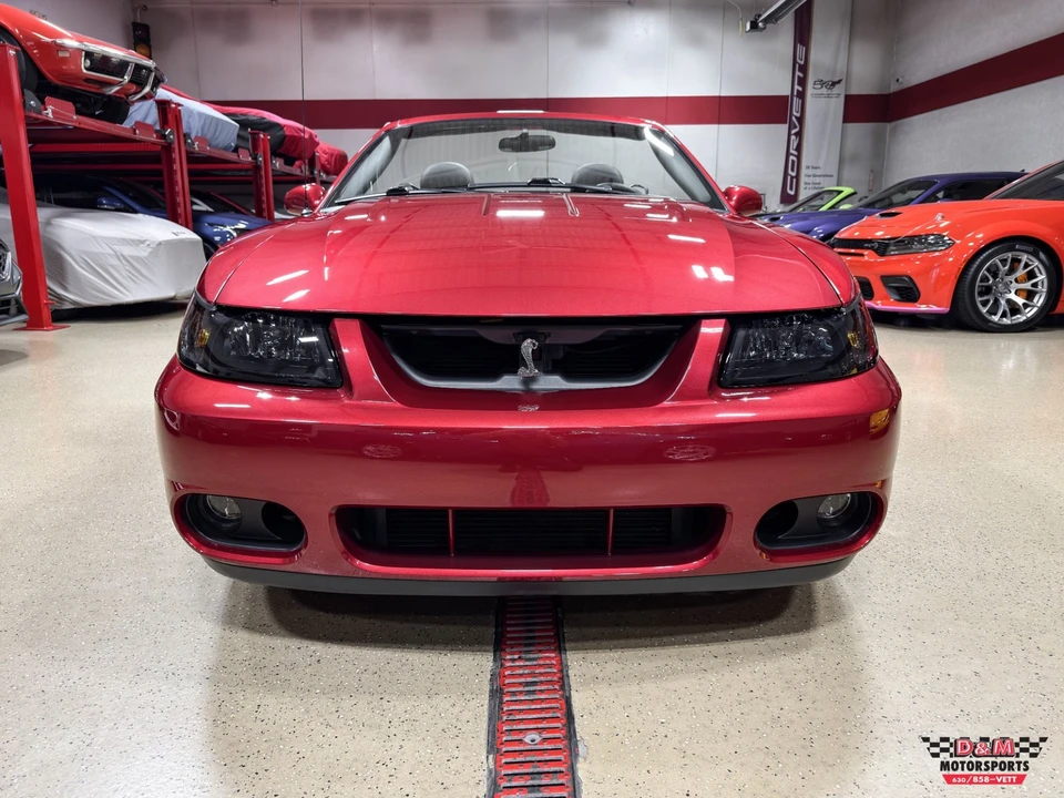 2003 Ford SN95 Mustang - Image 8 of 31