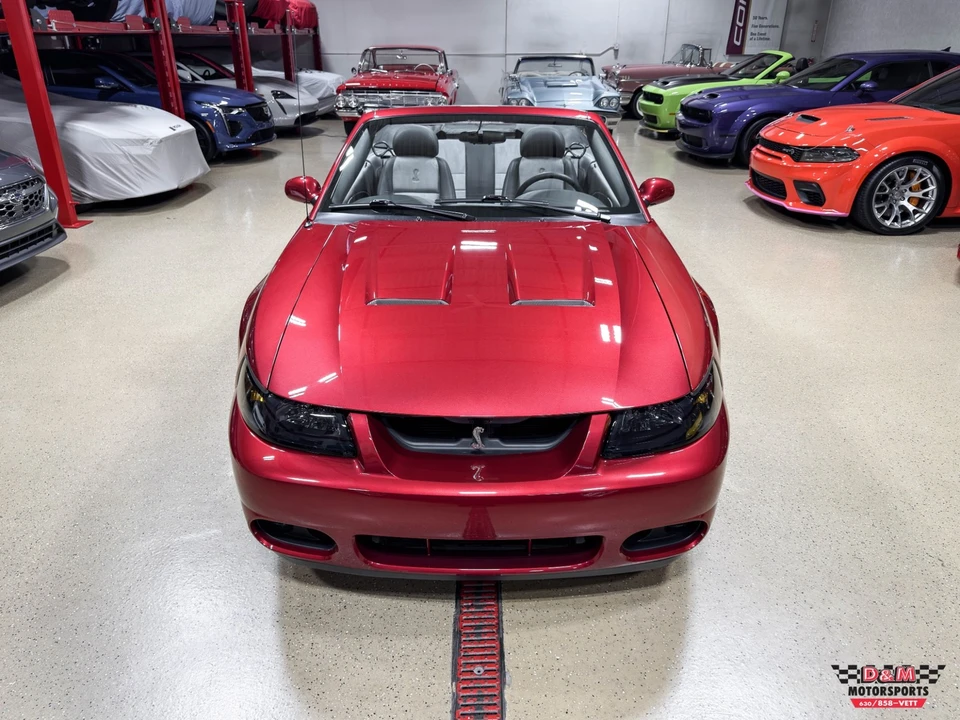 2003 Ford SN95 Mustang - Image 29 of 31