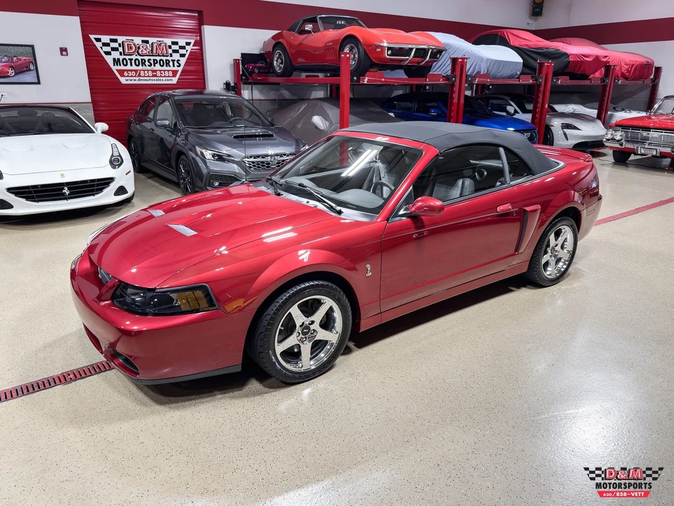 2003 Ford SN95 Mustang - Image 31 of 31