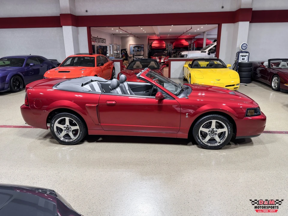 2003 Ford SN95 Mustang - Image 6 of 31