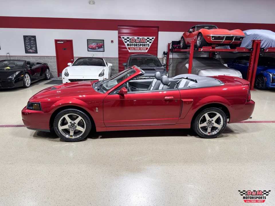 2003 Ford SN95 Mustang - Image 2 of 31