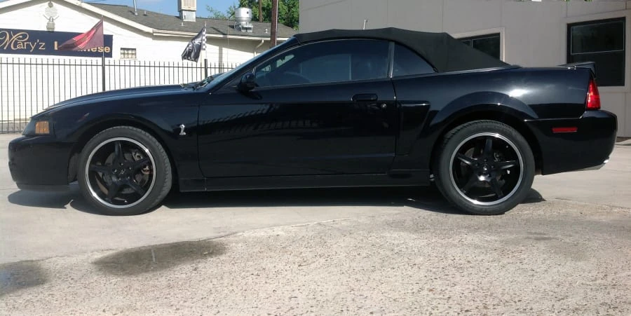 2003 Ford SN95 Mustang - Image 2 of 9