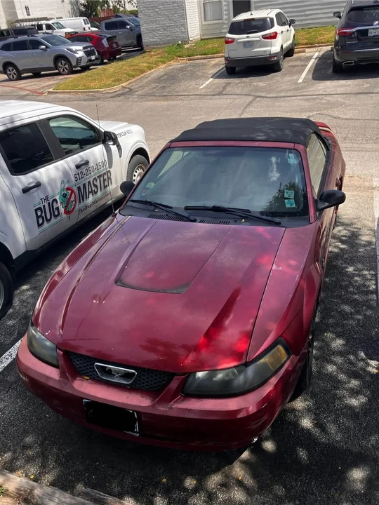 2003 Ford SN95 Mustang - Image 4 of 15