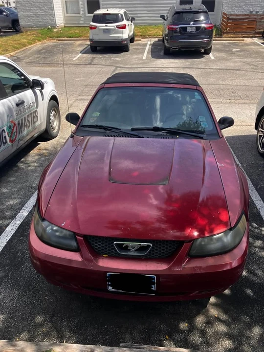 2003 Ford SN95 Mustang - Image 2 of 15