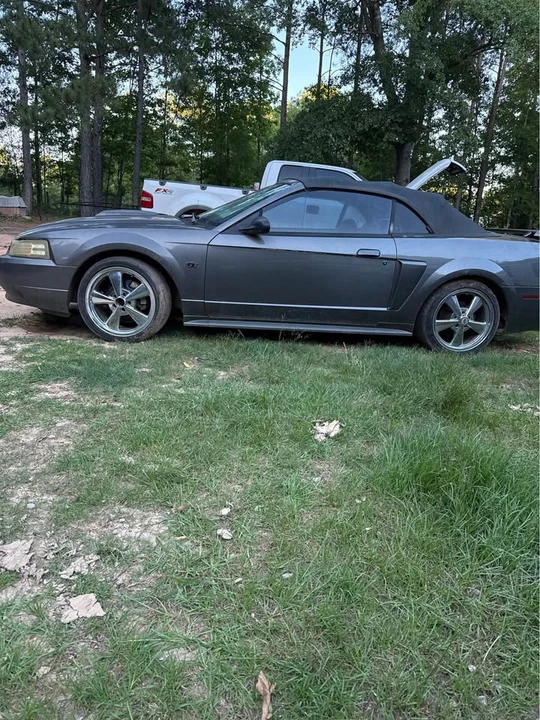 2003 Ford SN95 Mustang - Image 2 of 6
