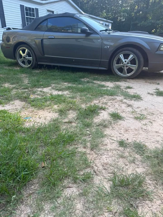 2003 Ford SN95 Mustang - Image 5 of 6