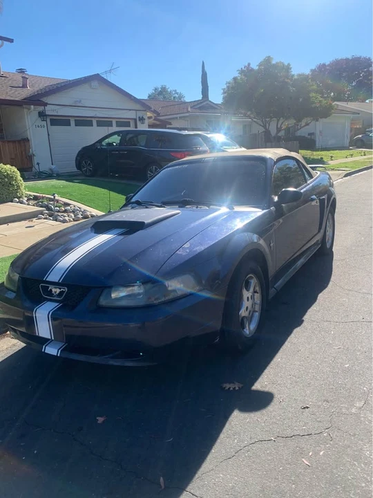 2003 Ford SN95 Mustang - Image 2 of 13