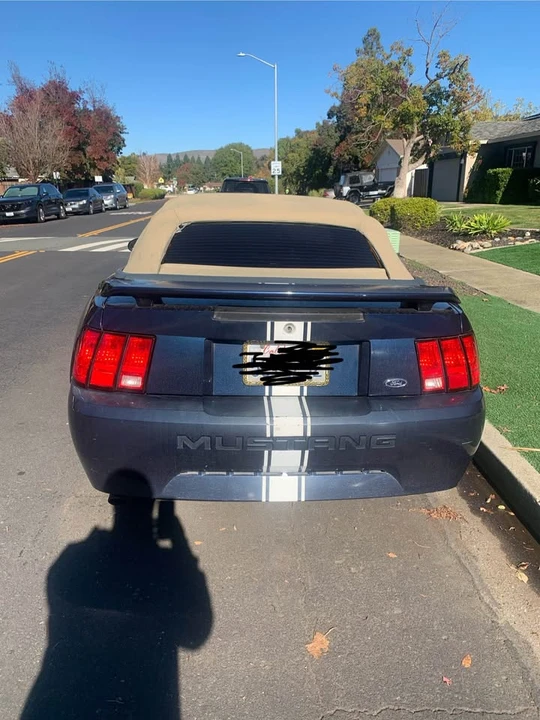 2003 Ford SN95 Mustang - Image 5 of 13