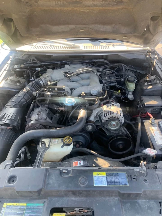 2003 Ford SN95 Mustang - Image 12 of 13