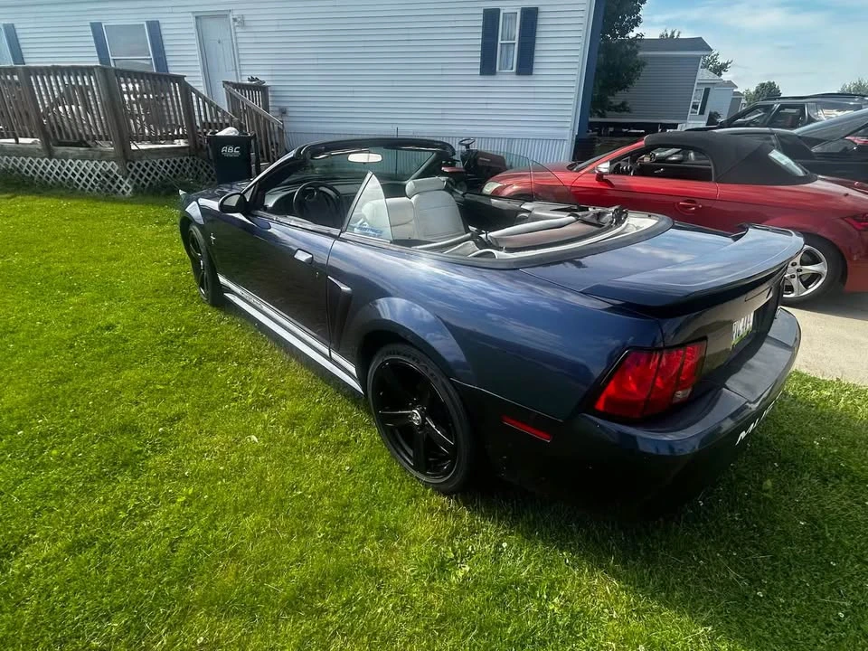 2003 Ford SN95 Mustang - Image 2 of 14