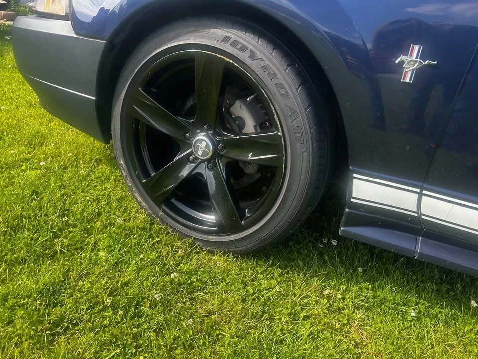2003 Ford SN95 Mustang - Image 5 of 14