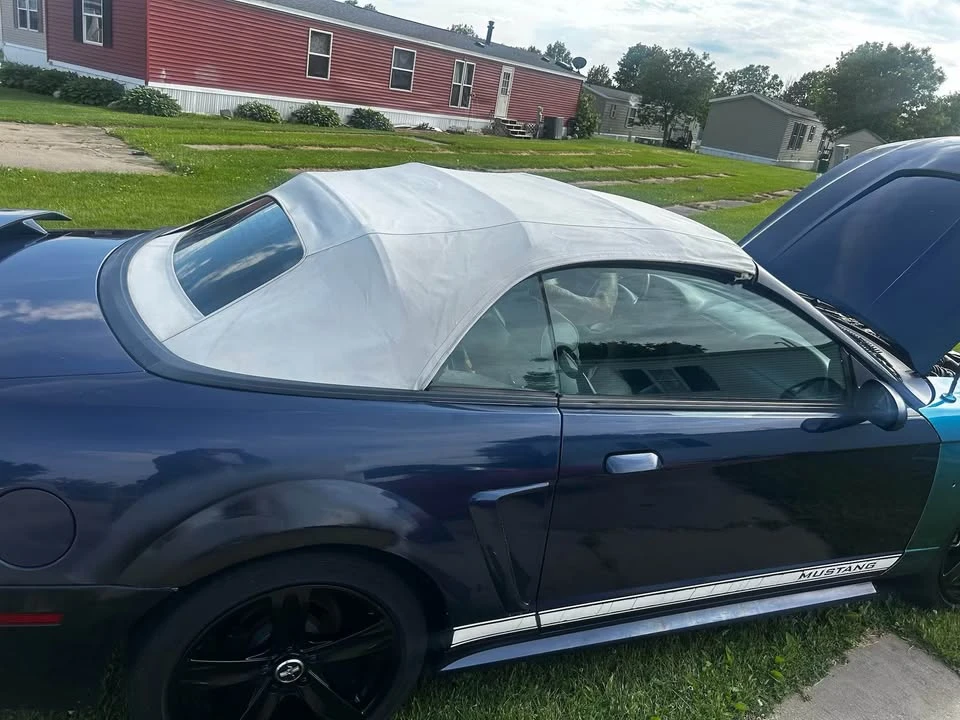 2003 Ford SN95 Mustang - Image 12 of 14
