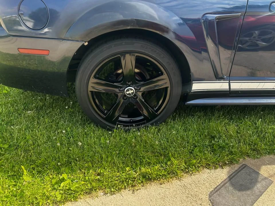 2003 Ford SN95 Mustang - Image 10 of 14