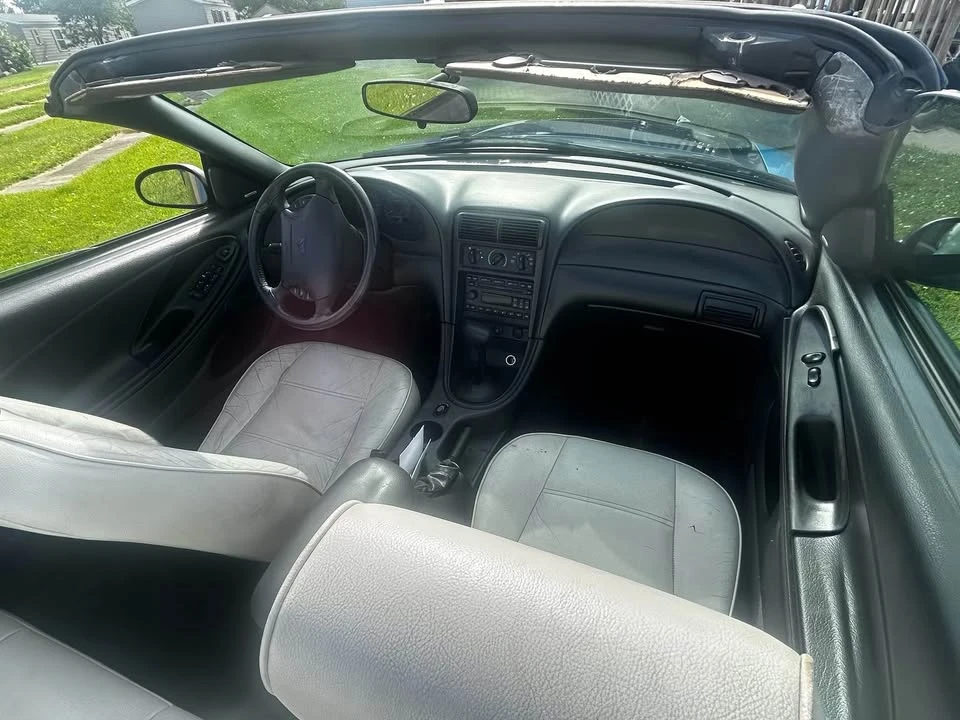 2003 Ford SN95 Mustang - Image 7 of 14