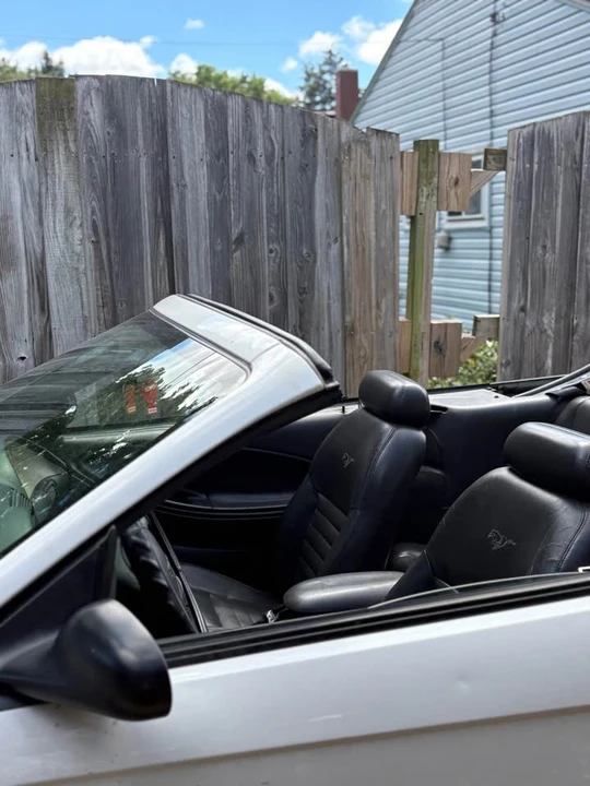 2003 Ford SN95 Mustang - Image 6 of 9