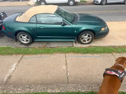 2003 Ford Mustang Convertible 2D