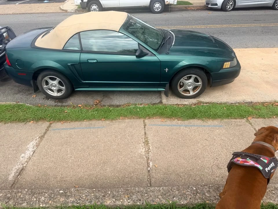 2003 Ford SN95 Mustang - Image 2 of 4