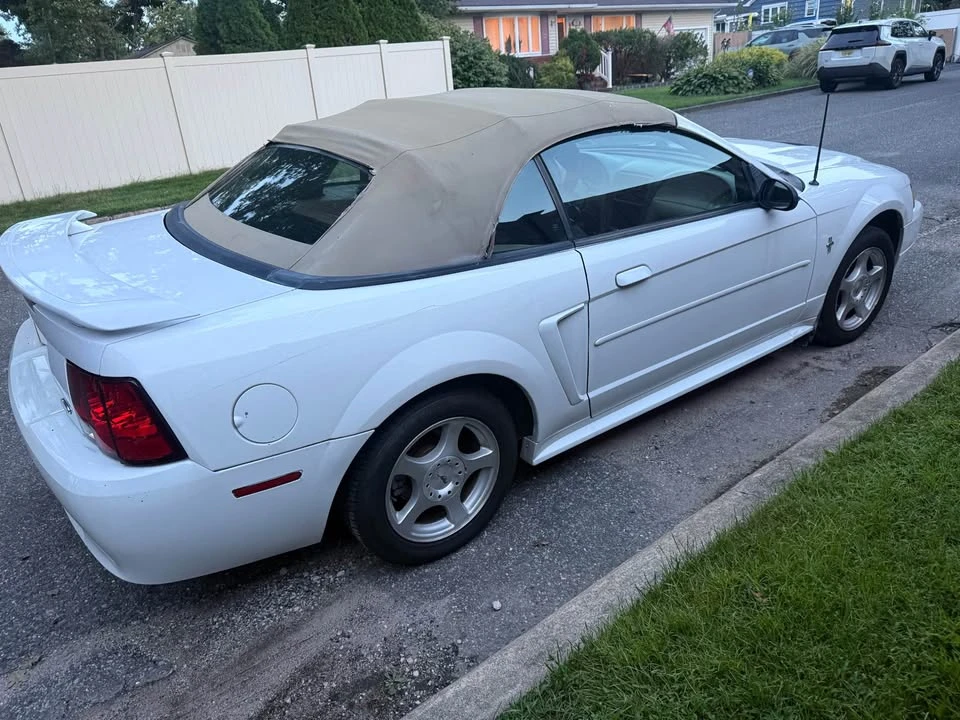 2003 Ford SN95 Mustang - Image 6 of 15