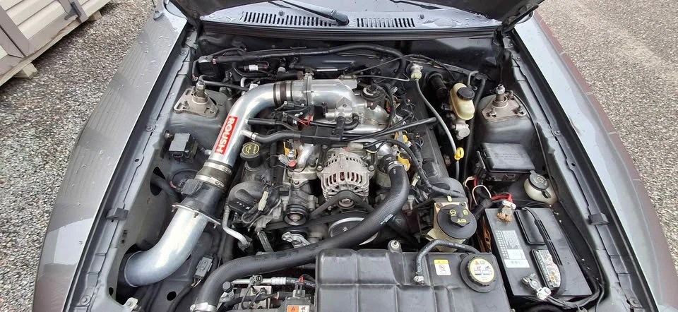 2003 Ford SN95 Mustang - Image 5 of 6