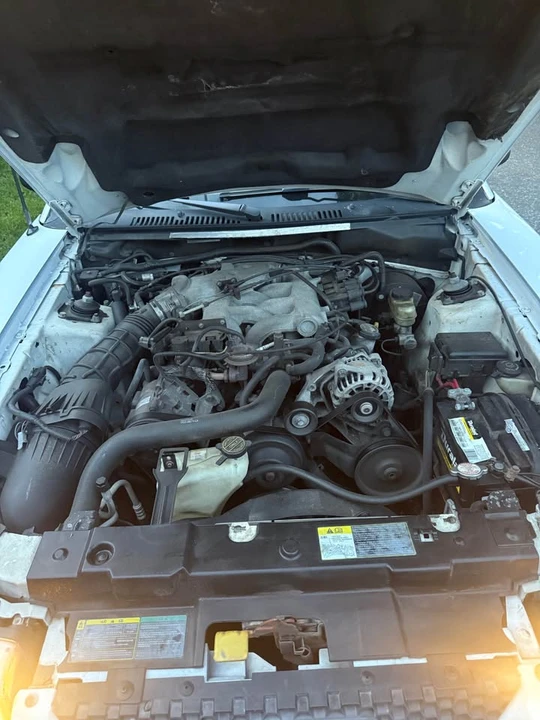 2003 Ford SN95 Mustang - Image 14 of 15
