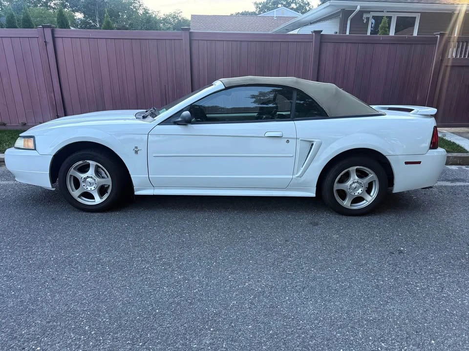 2003 Ford SN95 Mustang - Image 5 of 15