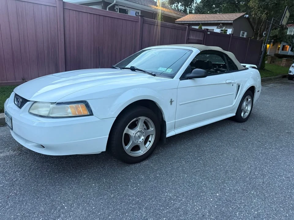 2003 Ford SN95 Mustang - Image 4 of 15