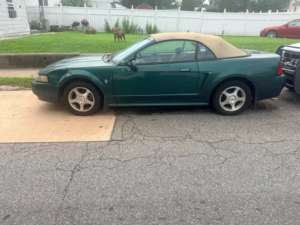 2003 Ford SN95 Mustang - Image 3 of 4